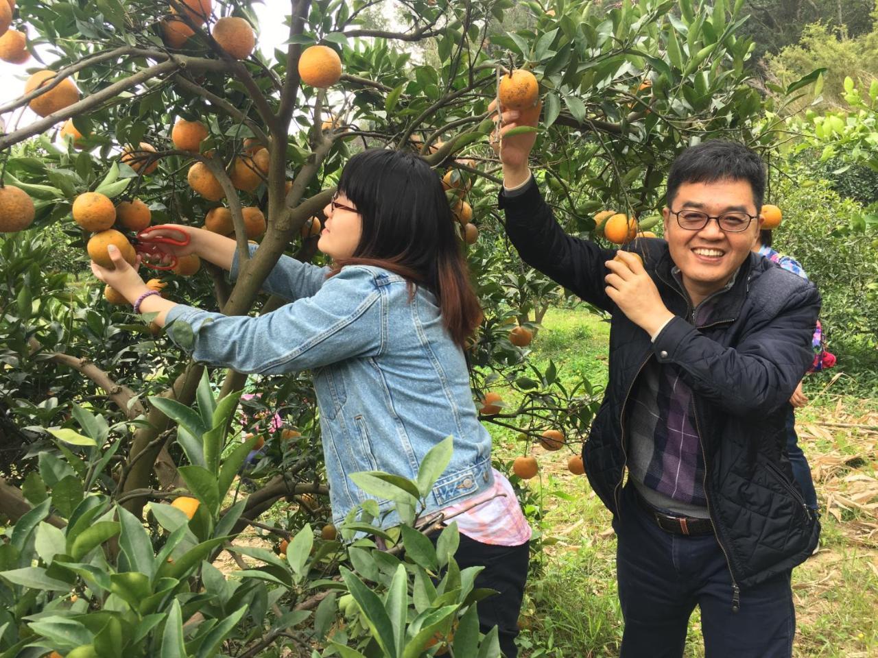 Fanny Manor B&B Emei Exteriör bild