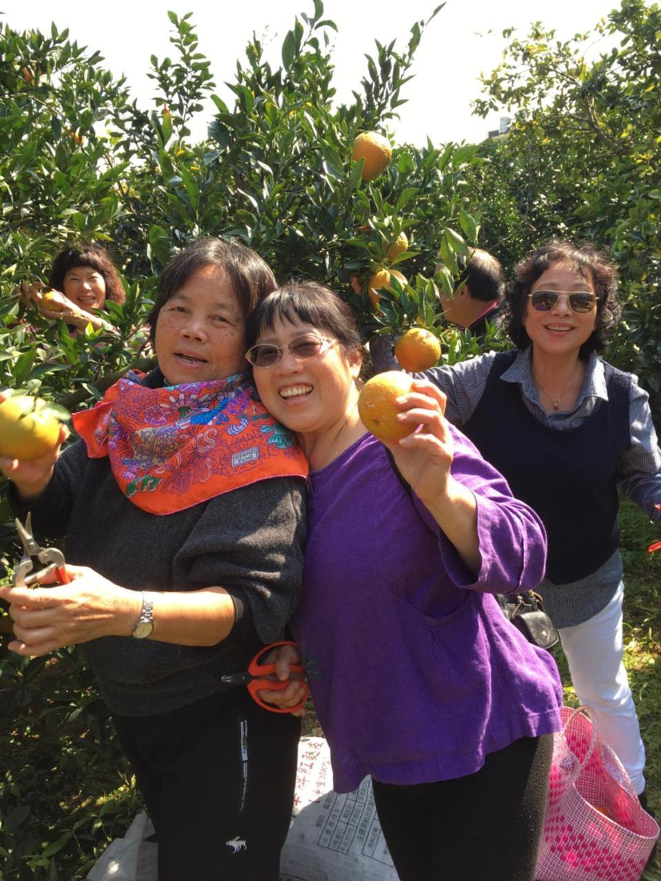 Fanny Manor B&B Emei Exteriör bild